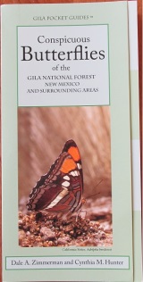 Conspicuous Butterflies of the Gila National Forest