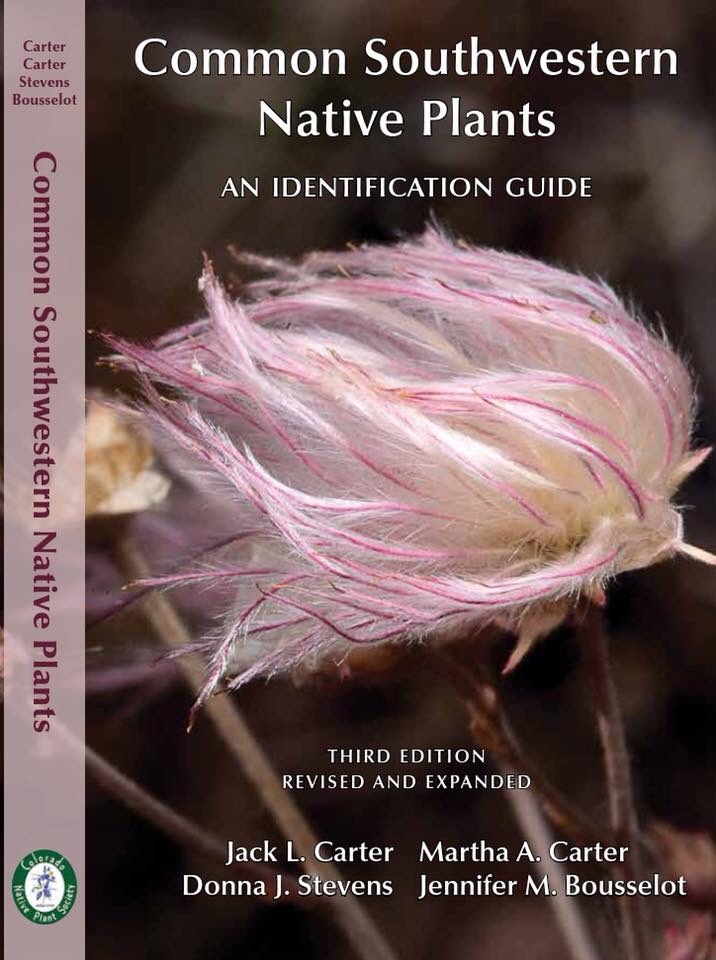 Common Southwestern Native Plants: An Identification Guide