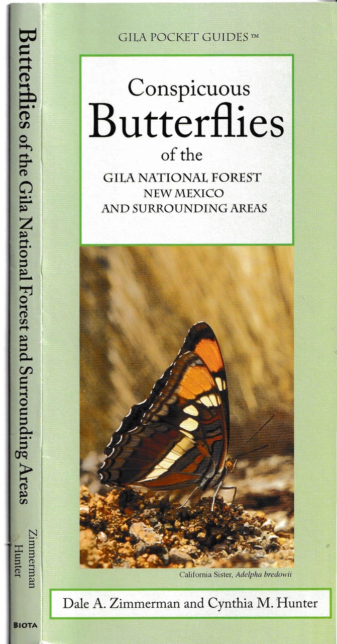 Conspicuous Butterflies of the Gila National Forest