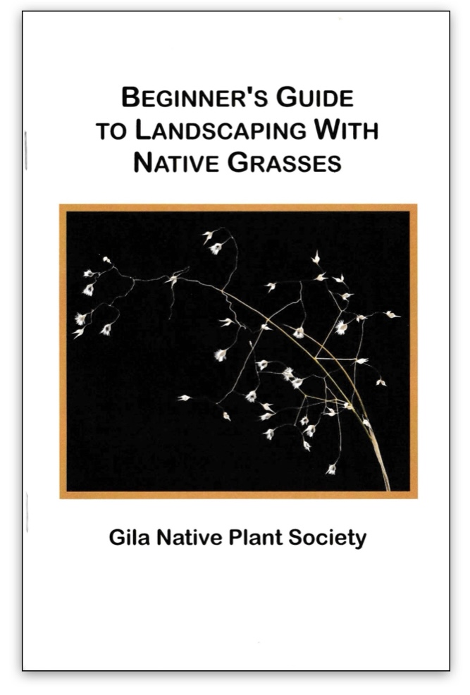 Beginners Guide to Landscaping With Native Grasses
