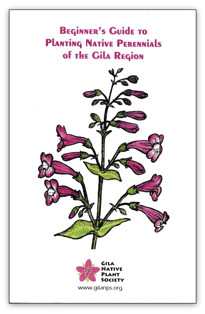 Beginners Guide to Planting Native Perennials of the Gila Region